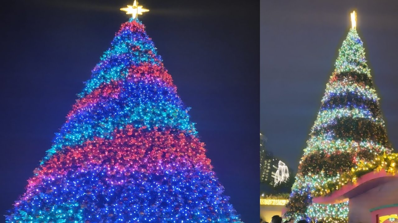 POHON NATAL TERBESAR DI HONGKONG || KOWLOON CHRISTMAS TREE