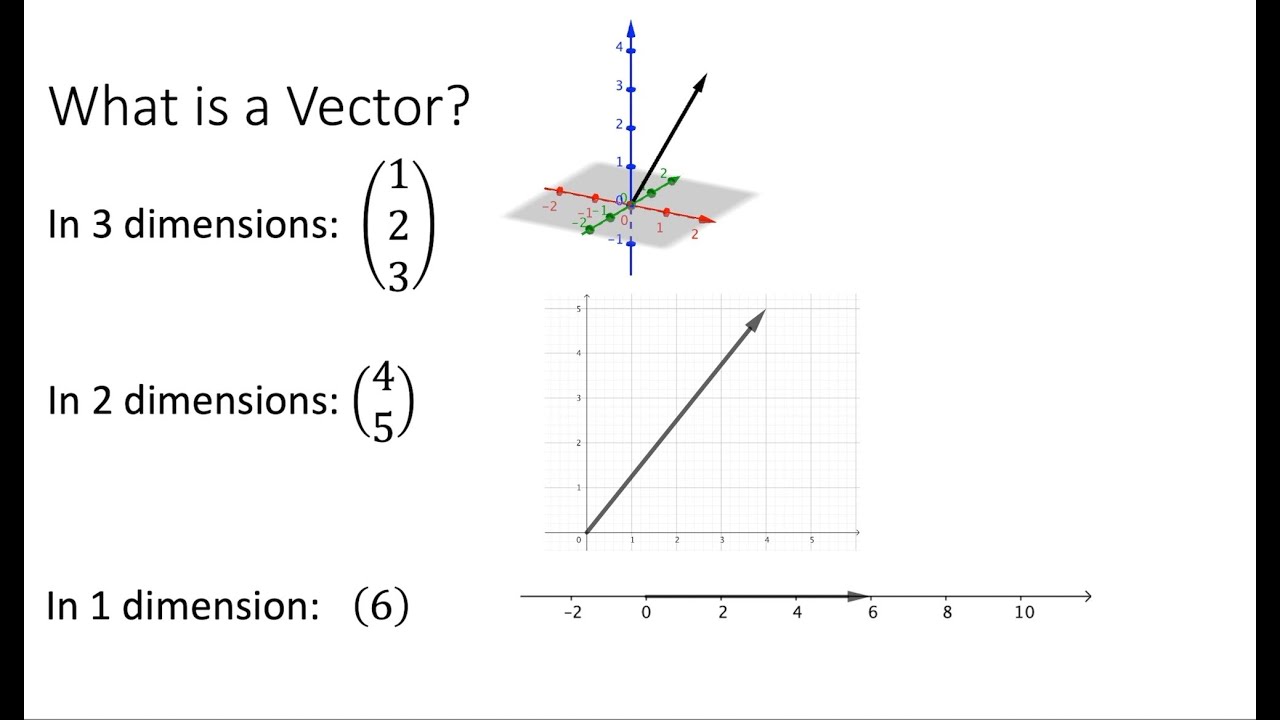 1d vectors