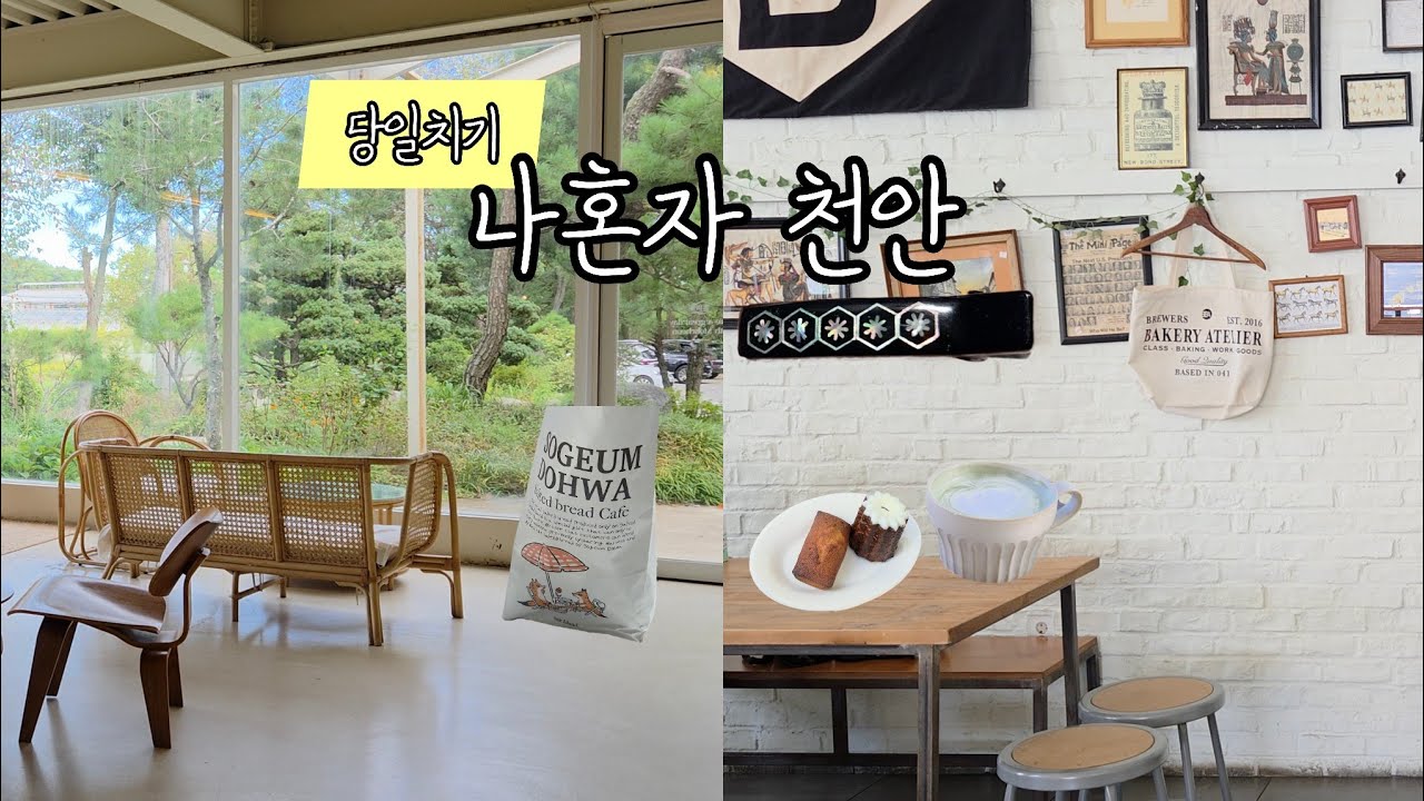 나혼자 Vlog. 소금빵 사러 천안 온 김에 당일치기. 멍 때리기 좋은 숲속뷰 카페에서 힐링. 잘 먹고 잘 쉬다감.