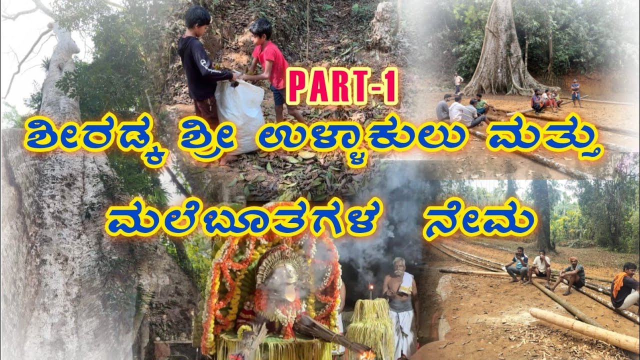 Preparation for Sheeradka Ullakulu & Maledaivagala Nemosthava | Part 1#viral #tulunad 