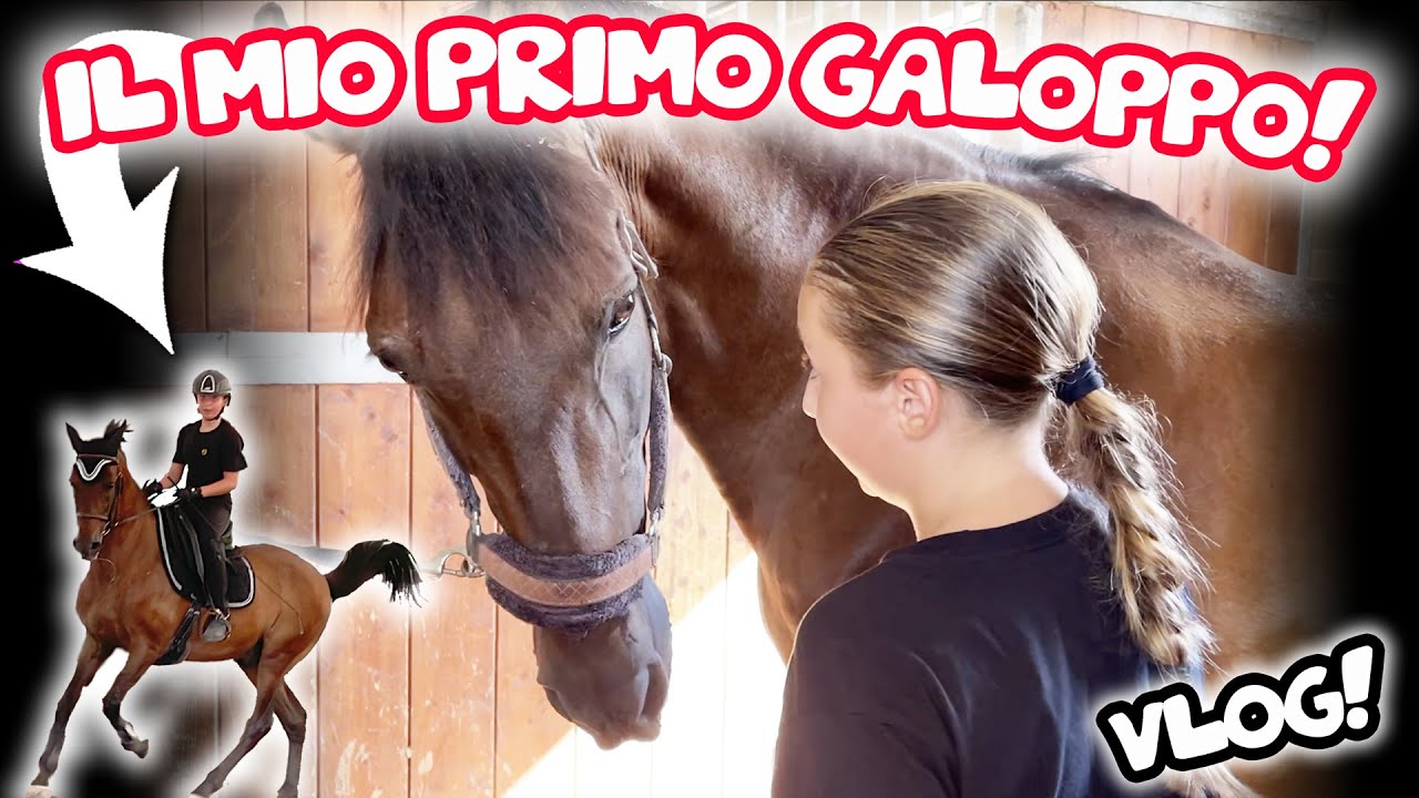 ⭐️ VLOG  : IL MIO PRIMO GALOPPO CON IL MIO NUOVO BIMBO ❤️❤️❤️ VI PRESENTO EXQUICITO!