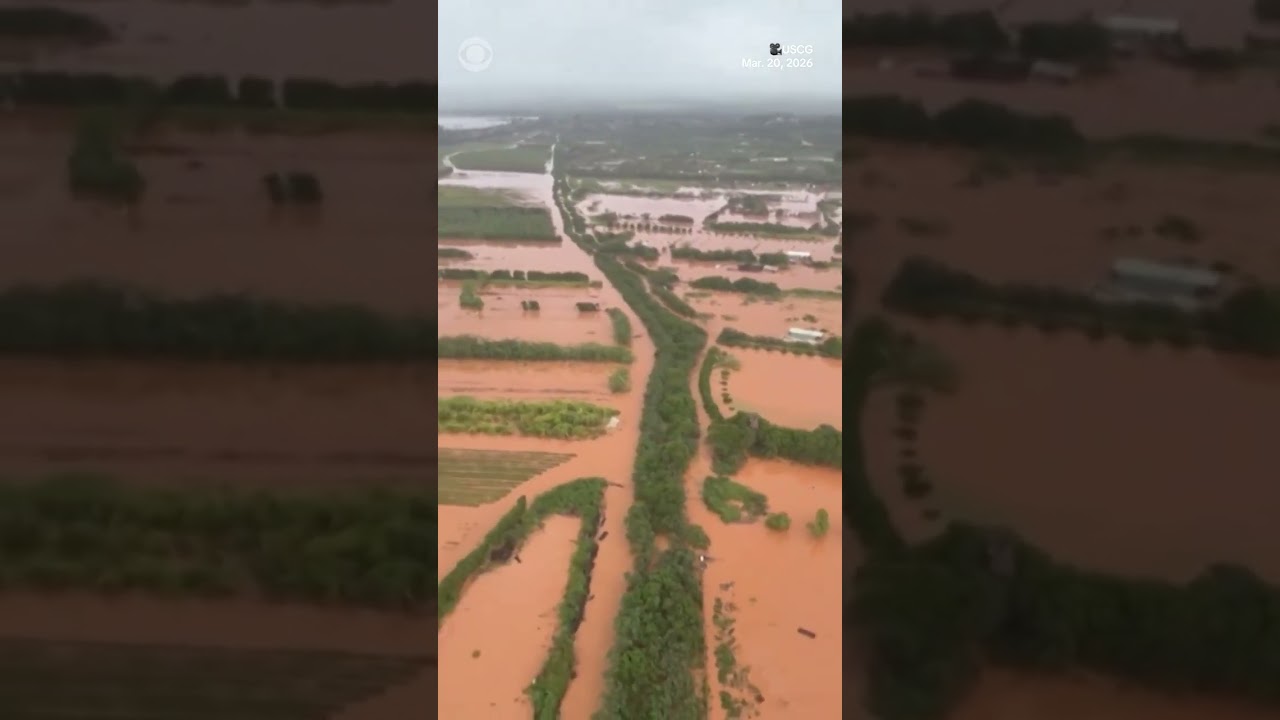 Hundreds in Hawaii rescued from muddy floodwaters as severe rains inundate streets #shorts