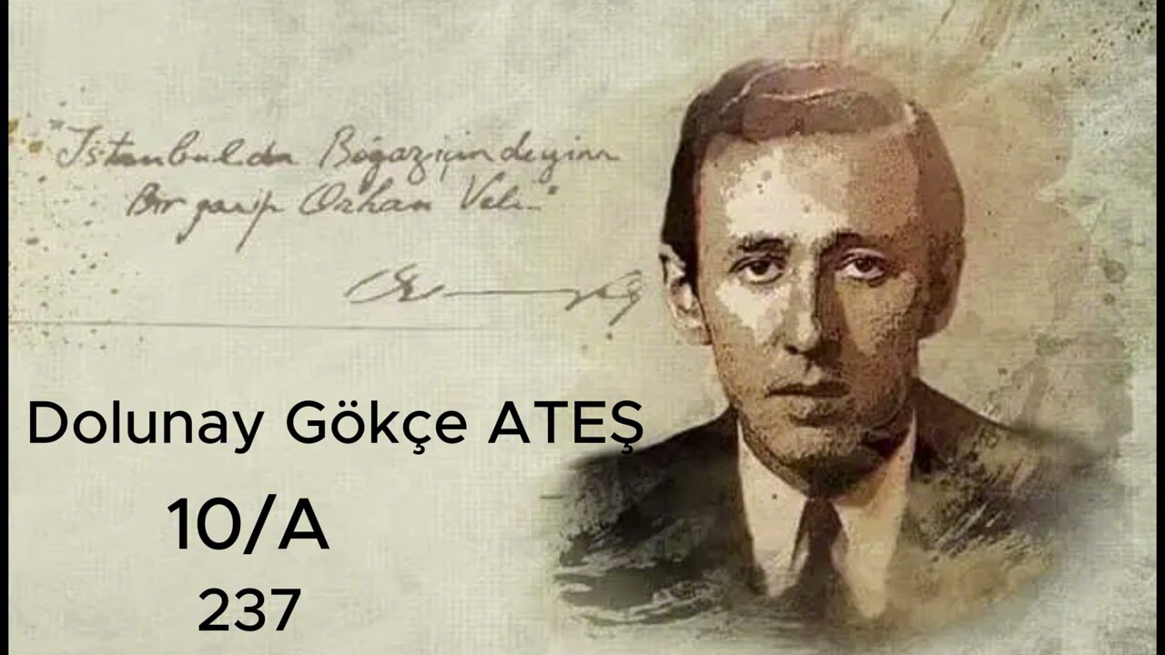 dolunay ödev