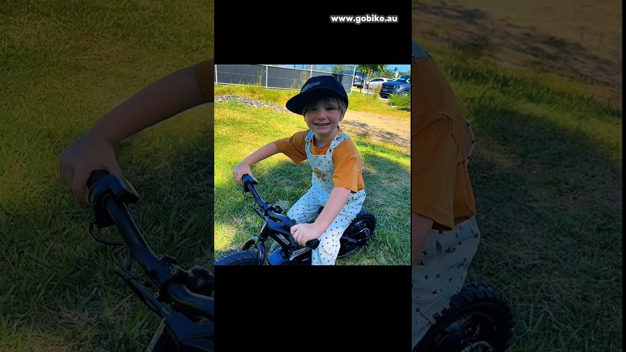 GoBike E-Bike Unboxing & Review