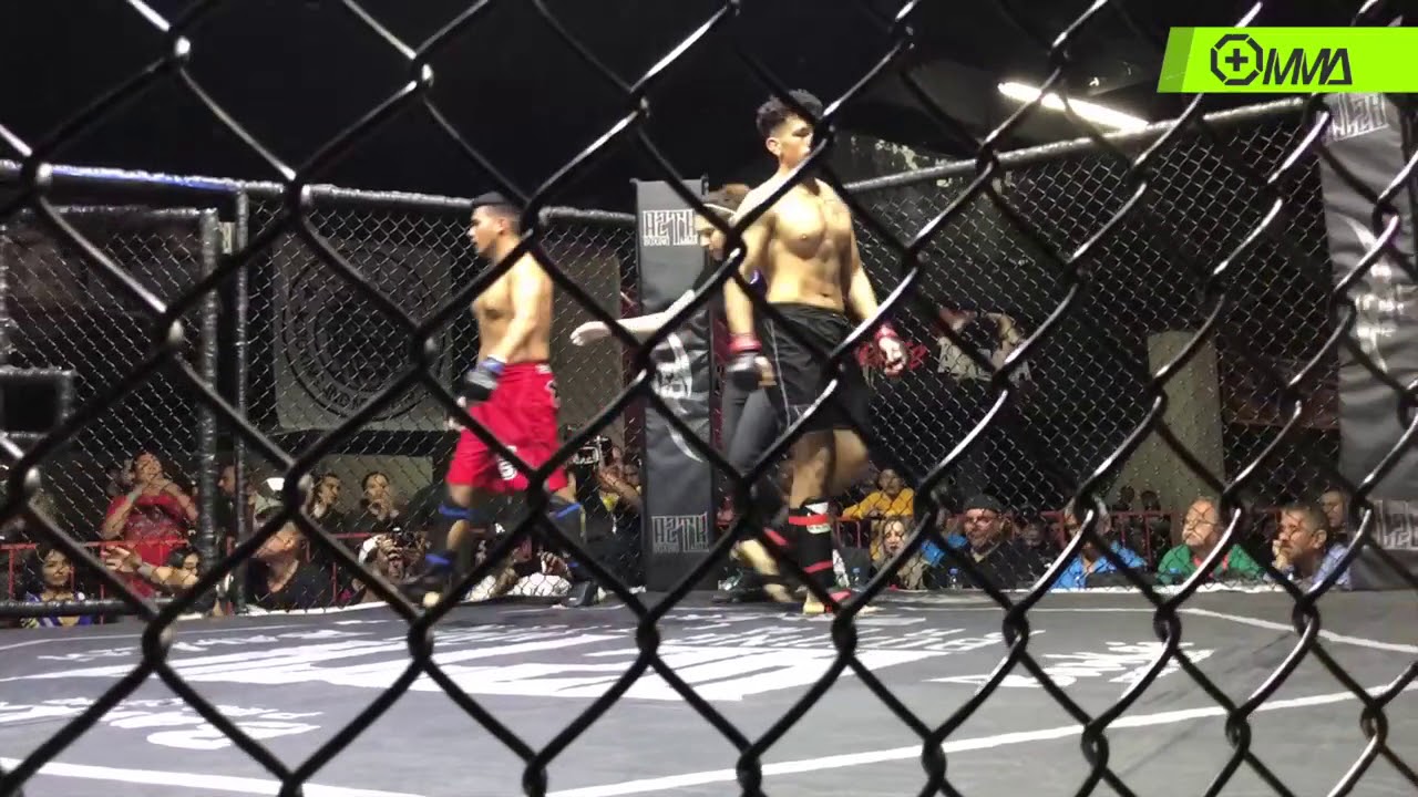 AFC 4 Alan Dominguez vs Ricardo Rea