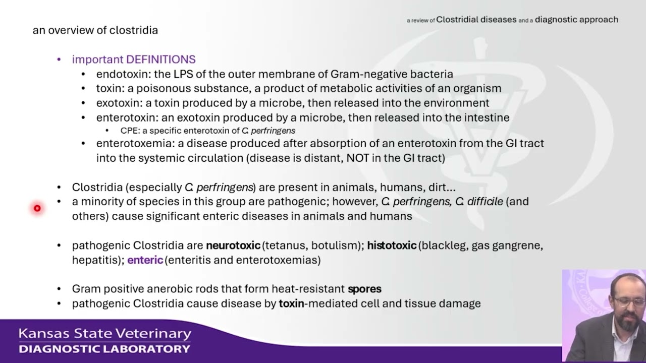 A Review of Clostridial Diseases and a Diagnostic Approach
