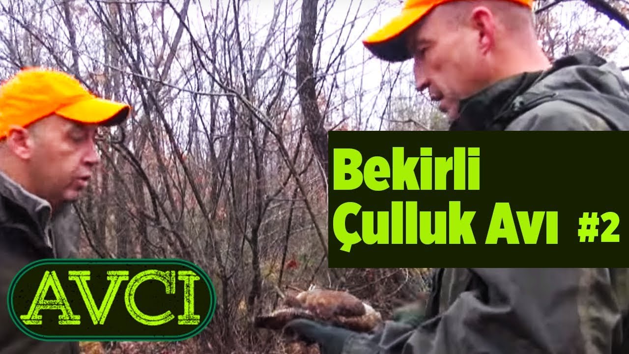 Bekirli Çulluk Avı 2 - Avcı - Yaban Tv
