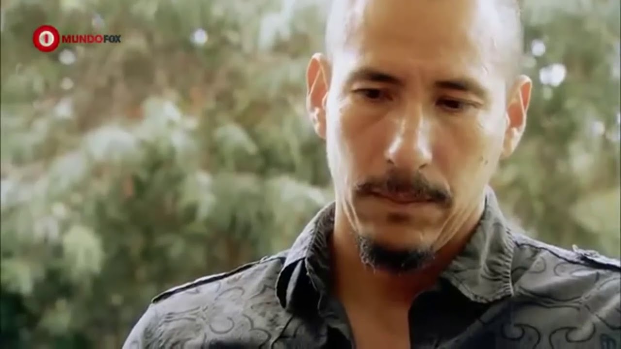 La pol&iacute;tica y el pueblo &iquest;somos borregos sumisos?