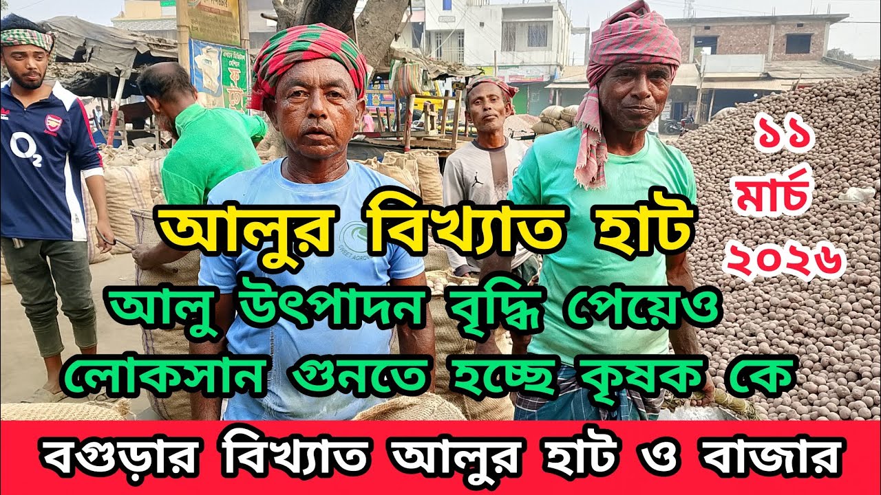 আজ ১১ মার্চ ২০২৬ ইং আলুর হাট ও বাজার দর | লাল পাকরী আলু দাম বৃদ্ধি | আলুর চাহিদা বেড়েছে #আলুদাম২০২৬ 