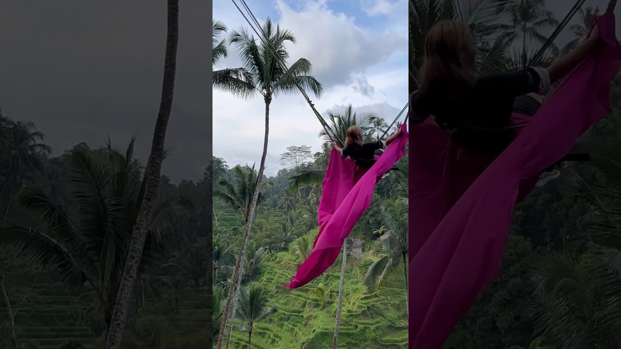 Swing in valley #riceterrace  #Tegalalang #ubud #bali