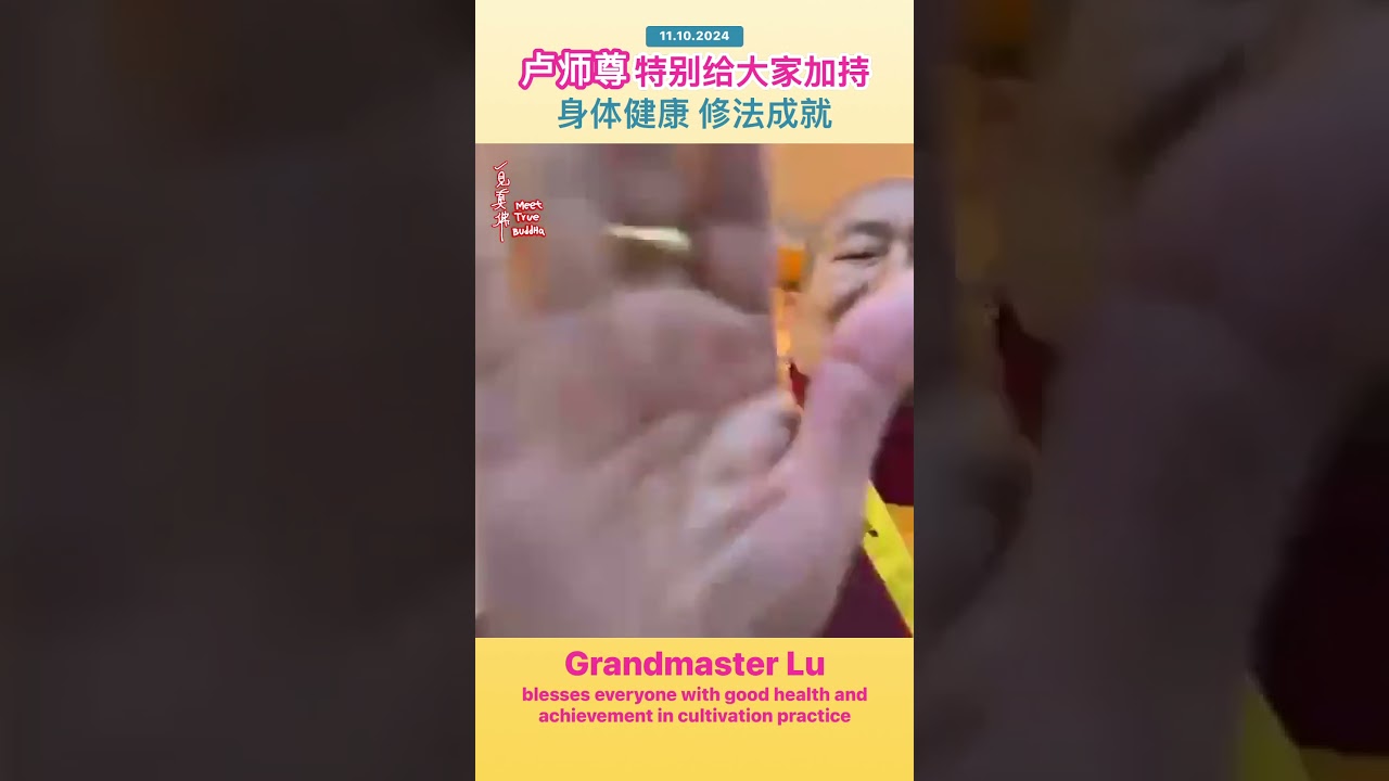 【摩頂之精華】Vajrapani Bodhisattva said, “Grandmaster Lu’s hands have magical power”- Sheng-Yen Lu's Book