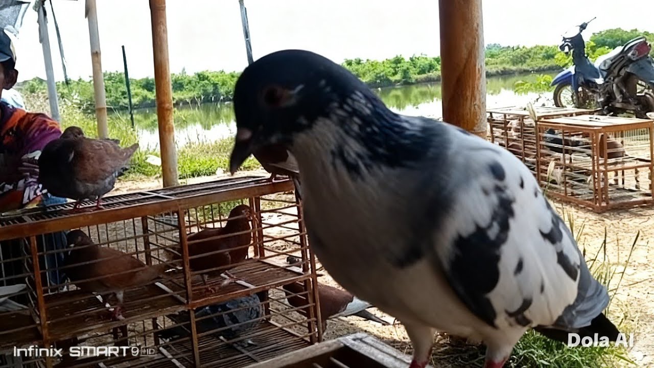 SEKARANG HARI INI ENAK BANGET GANDENG NYA !!