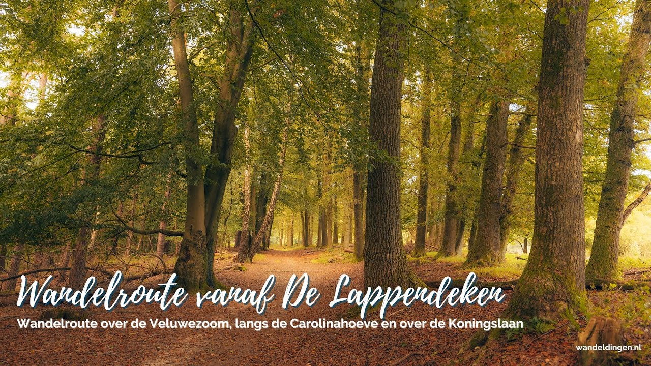 Wandelroute Veluwezoom vanaf De Lappendeken