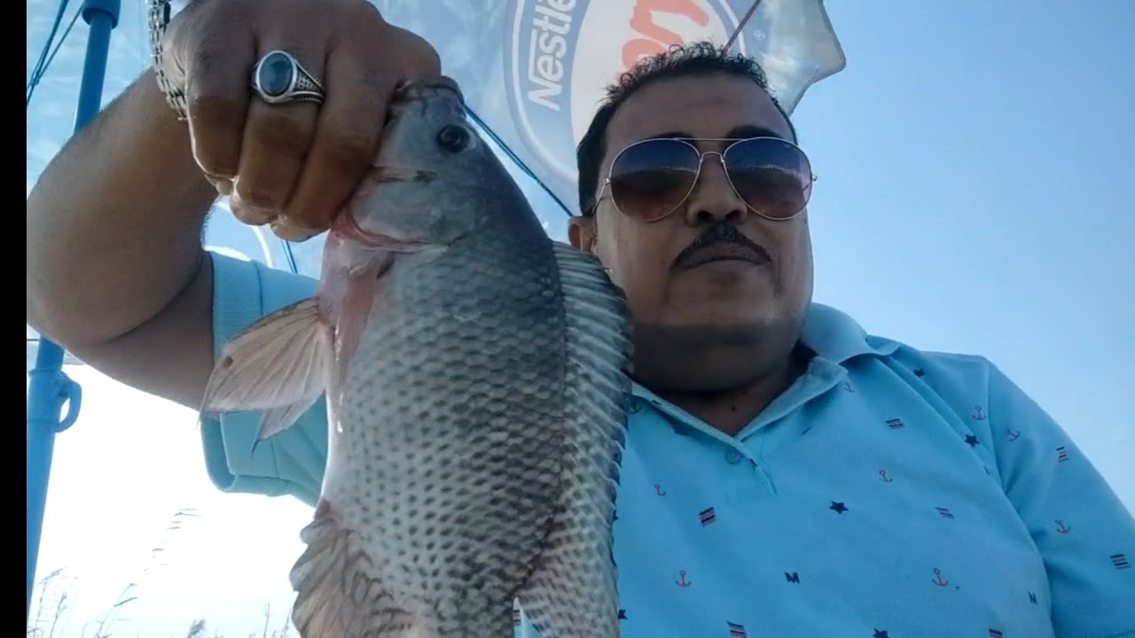الجديد شديد ضرب الغلة على المباشر(الحصيله آخر الفيديو)🦈🐟
