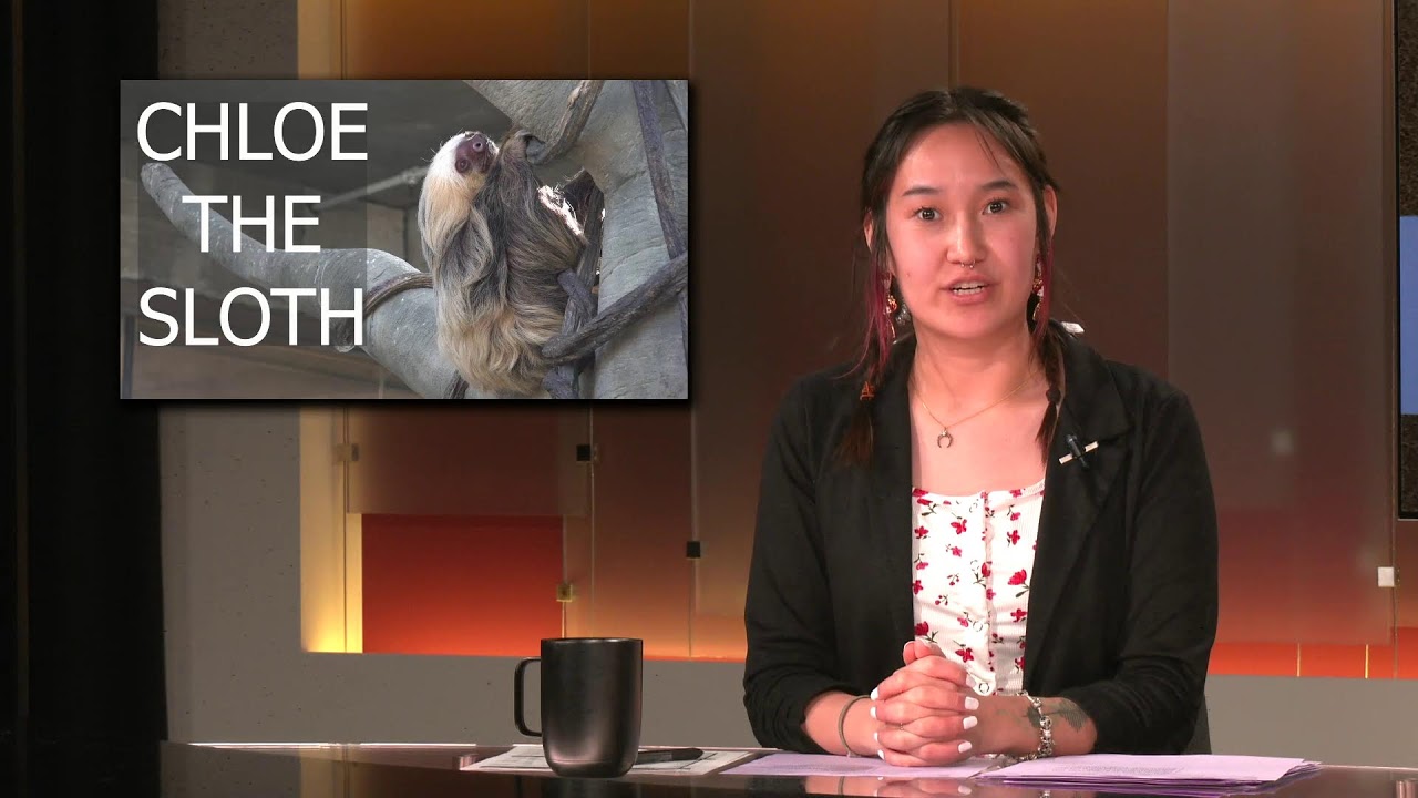 HSJMC UReport - April 4th, 2025