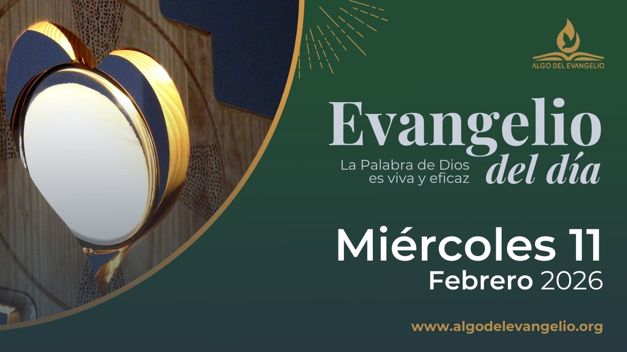 Evangelio de hoy l 11 de febrero de 2026 l  V Miércoles durante el año I san Marcos 7, 14-23
