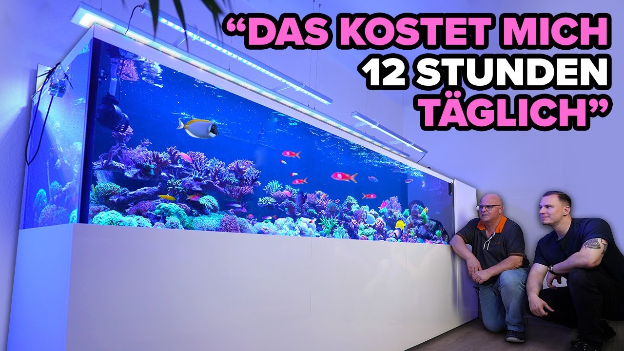 3500 LITER + KELLER - Thomas übertreibt die Aquaristik (dezent) 🐠