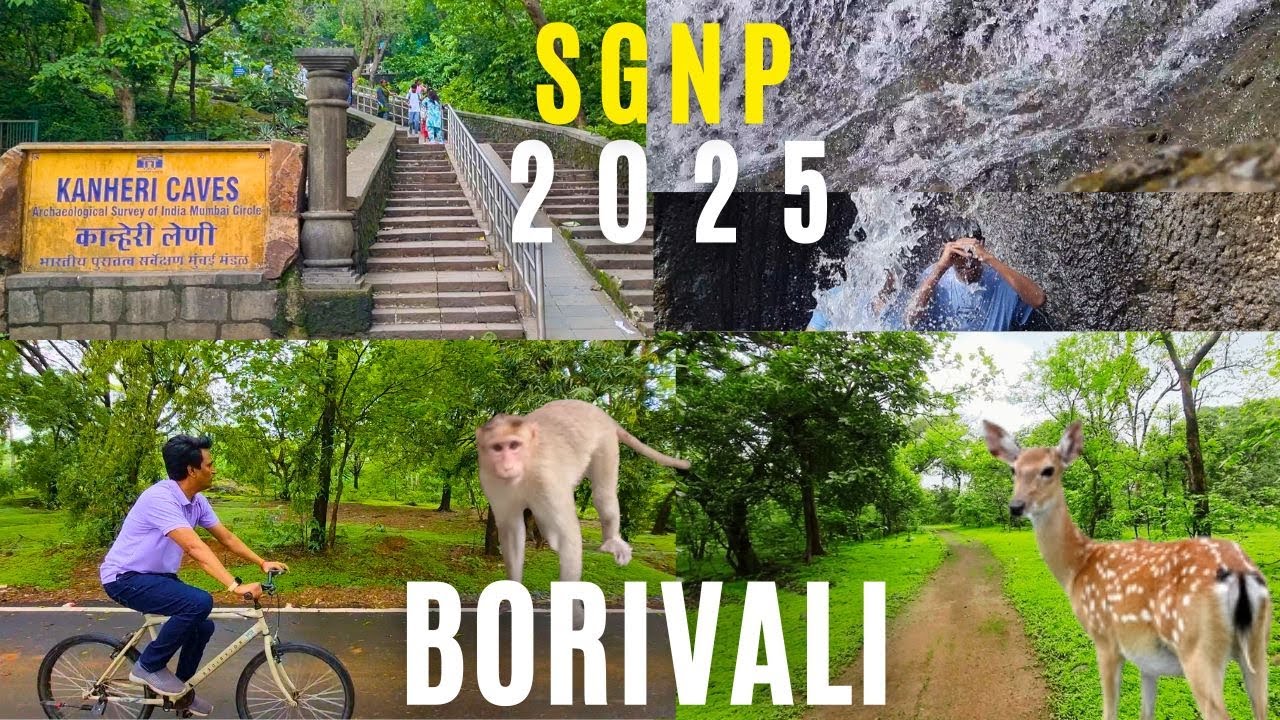 Mumbai National Park Kanheri Caves Latest Video | Vanrani Train Updates | Best Places In Monsoon