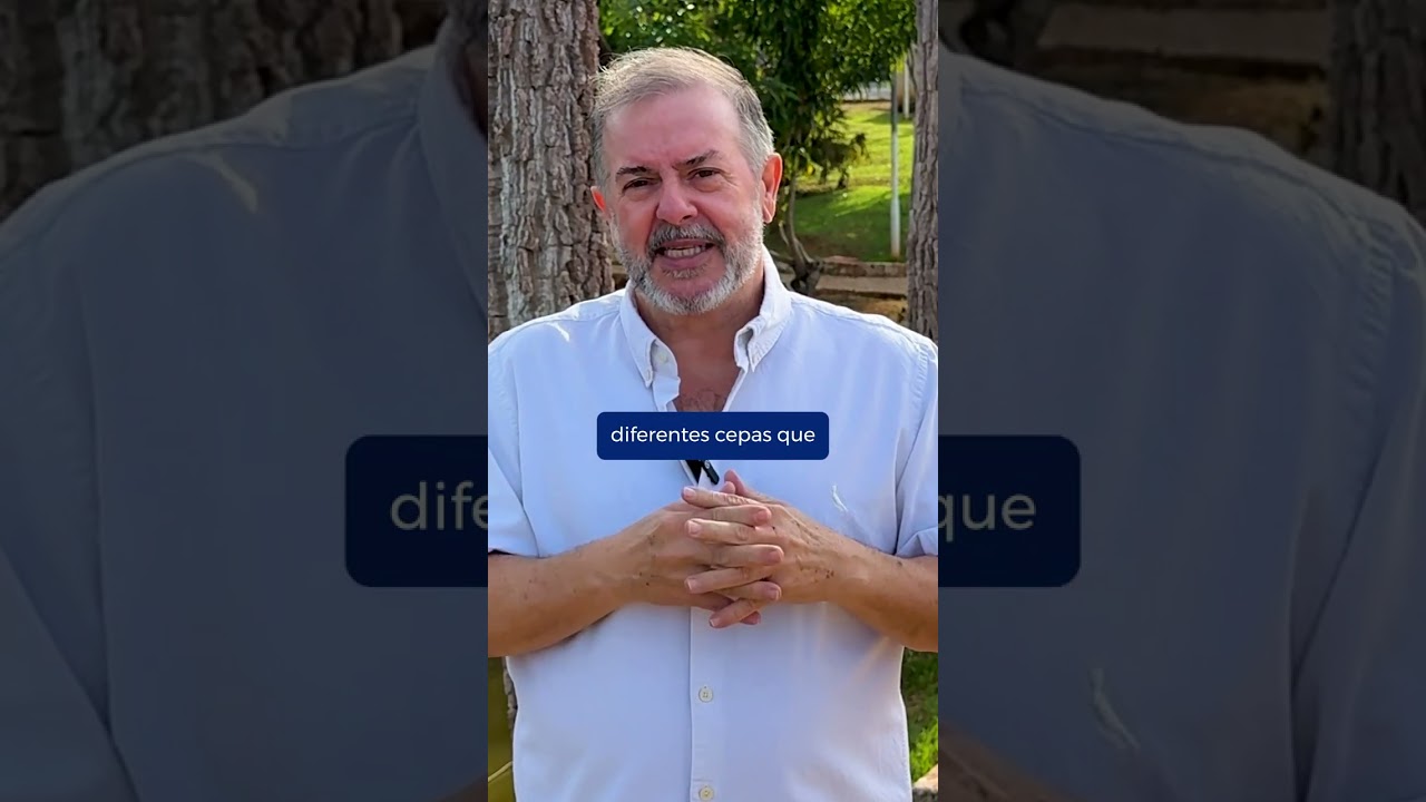 Rinite e probi&oacute;ticos