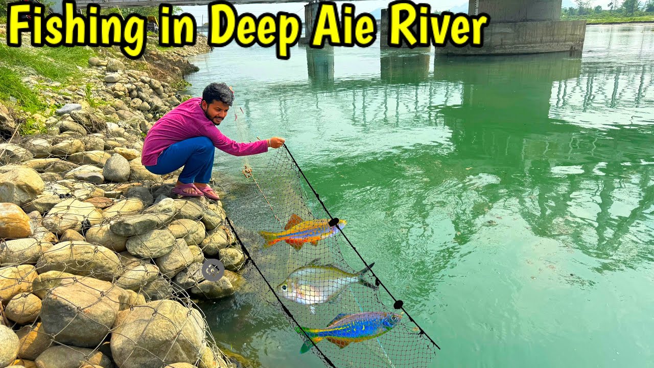 Caught River Transparent Tetras??🙆‍♂️🥰 | Assam Aie River Fishing | Fishing with Fishing Net