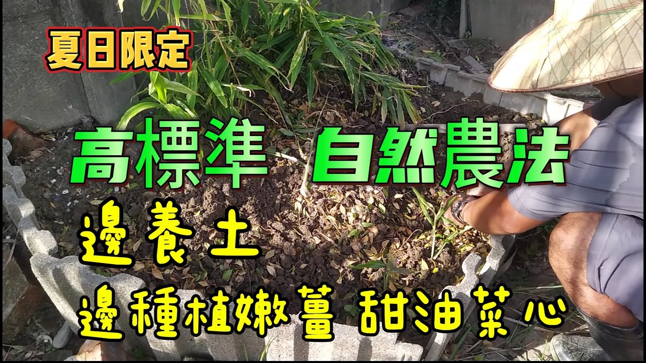 [夏日限定]04_3  土壤效力開始顯現 輔助式自然農法實踐...(濕黏土壤變疏鬆了)