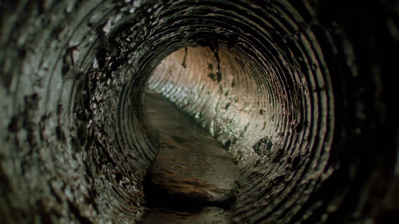 Calgon - Dirt