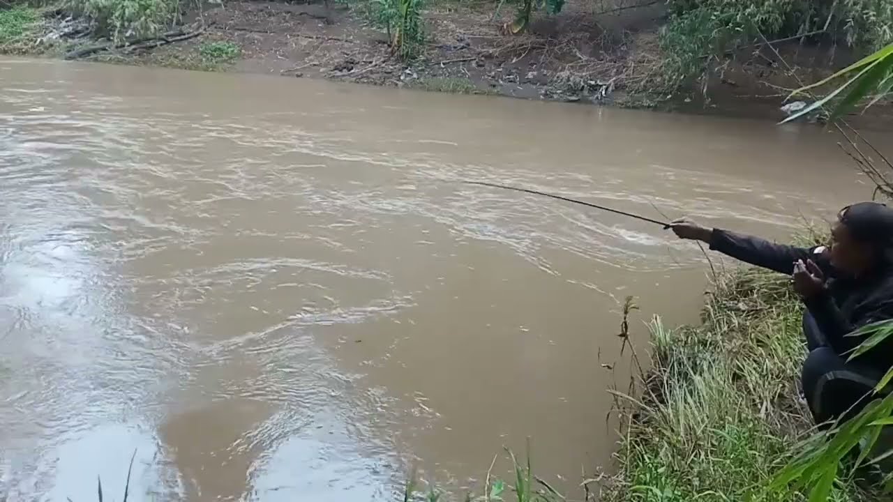MANCING SANTAI YG PENTING YAKIN 