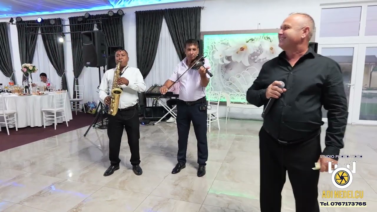 Domnii ăștia la costum - Colaj de ascultare NOU!!! (cover) - Iulică Pistol și formația Profesional