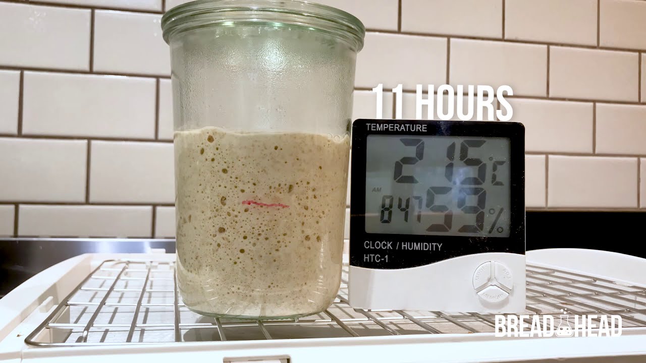 Sourdough Leaven Evolution Time-Lapse