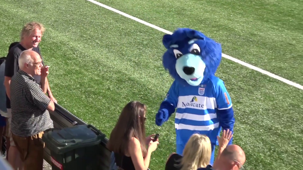 Samenvatting VV Berkum - PEC Zwolle