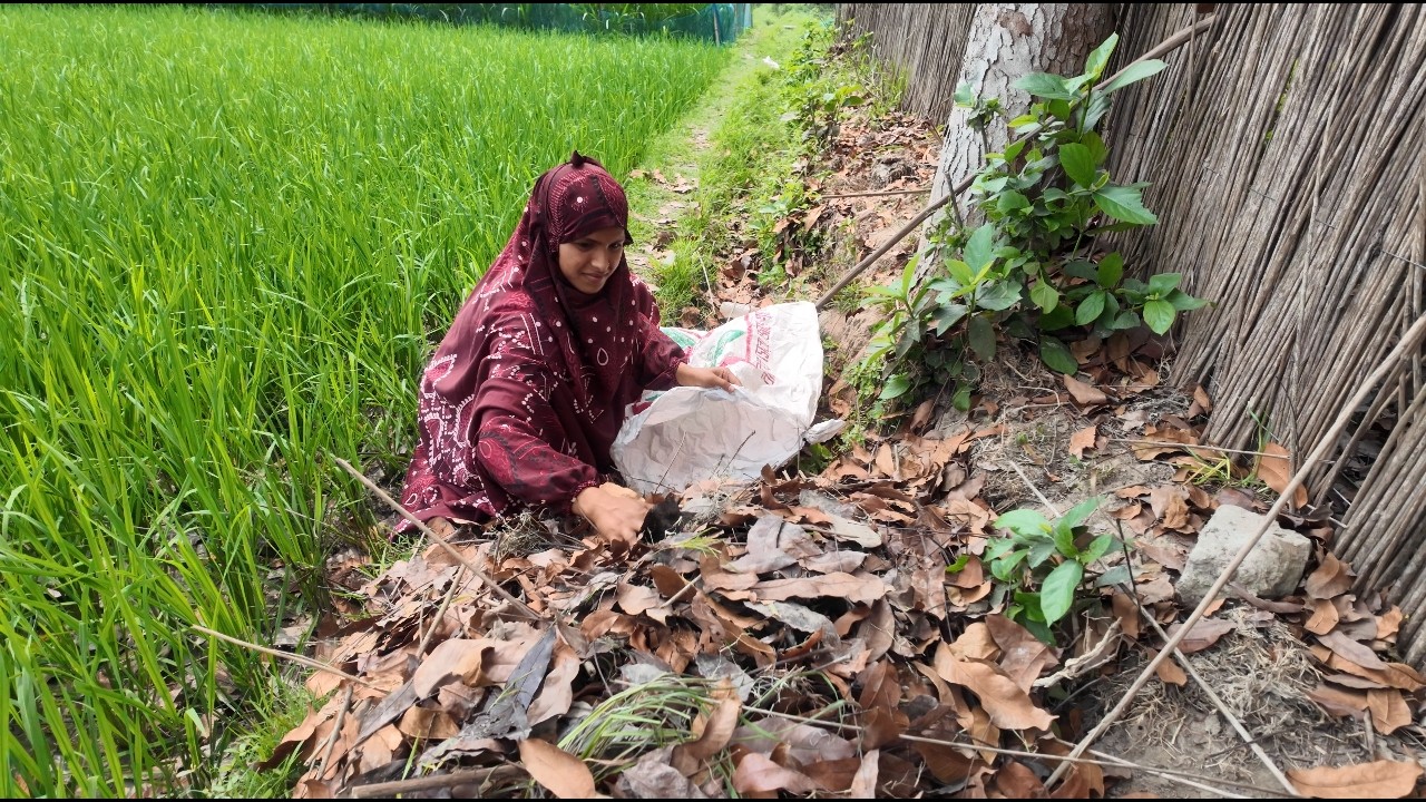 জুই অসুস্থ হওয়ায় আজ আমাকে দিয়ে অনেক কাজ করিয়ে নিলো । village life with jui
