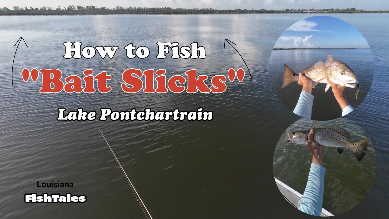 How to Fish Bait Slicks   Lake Pontchartrain