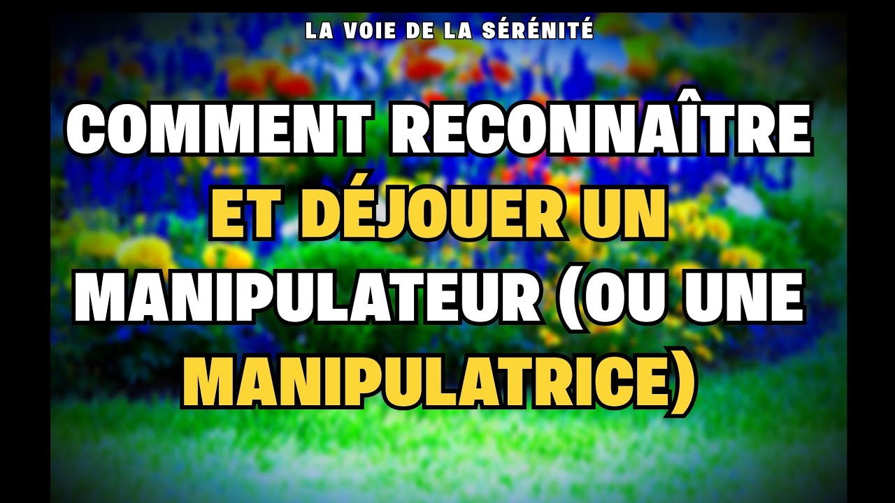 Comment RECONNAÎTRE et DÉJOUER un MANIPULATEUR (ou une manipulatrice)
