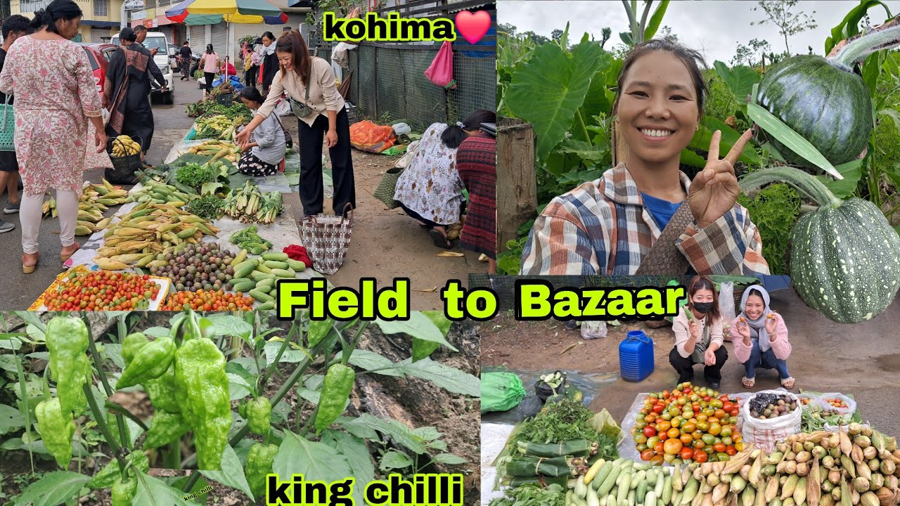 Village Girl Harvest Organic Veggies To sell in Market //Kohima  Bazaar || Jhum field
