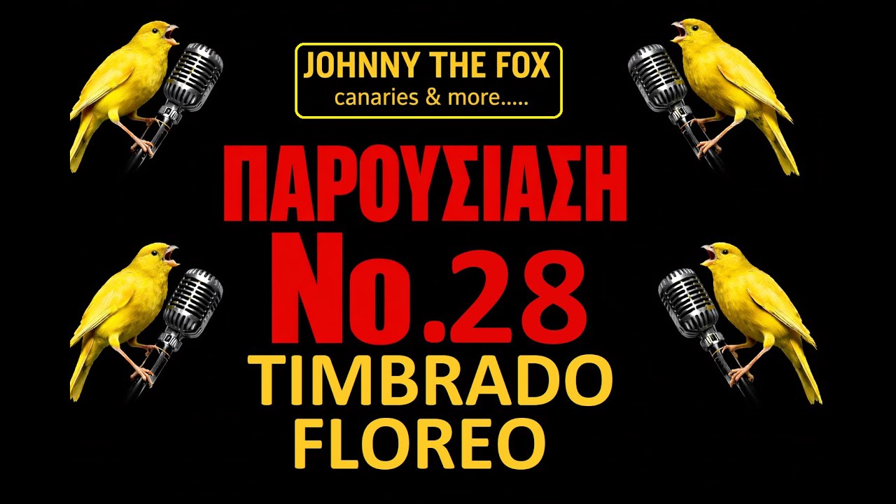 ΠΑΡΟΥΣΙΑΣΗ Νο 16........ΤΙΜΠΡΑΝΤΟ ΦΛΟΡΕΟ