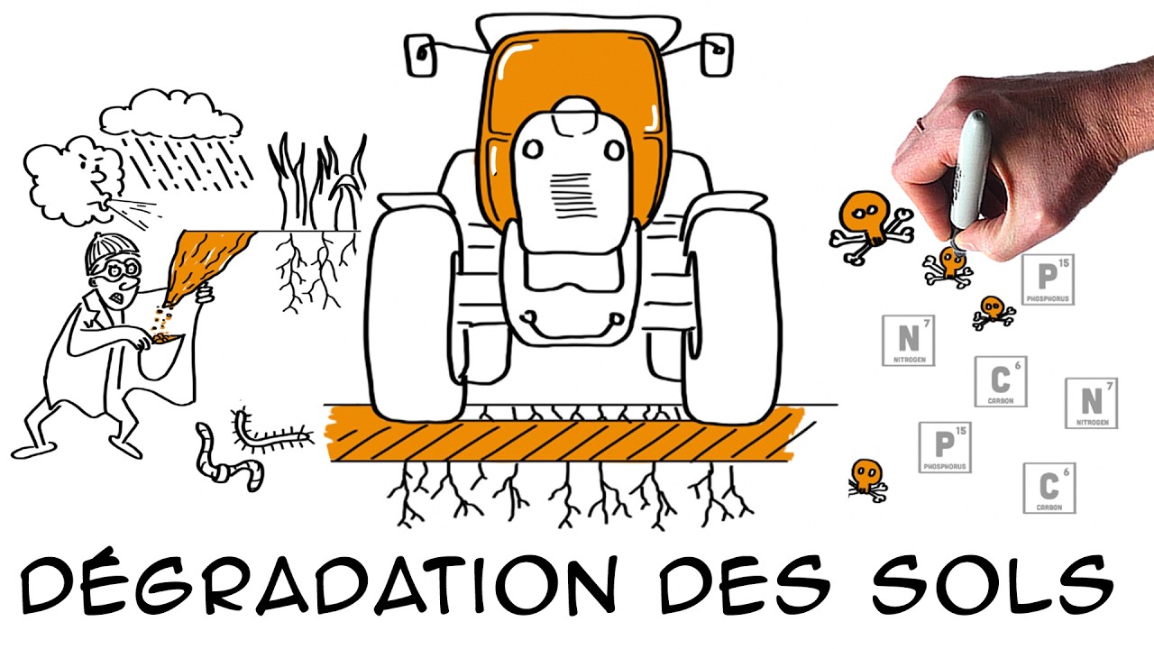Peut-on sauver notre alimentation en sauvant nos sols ? |  Dégradation des sols