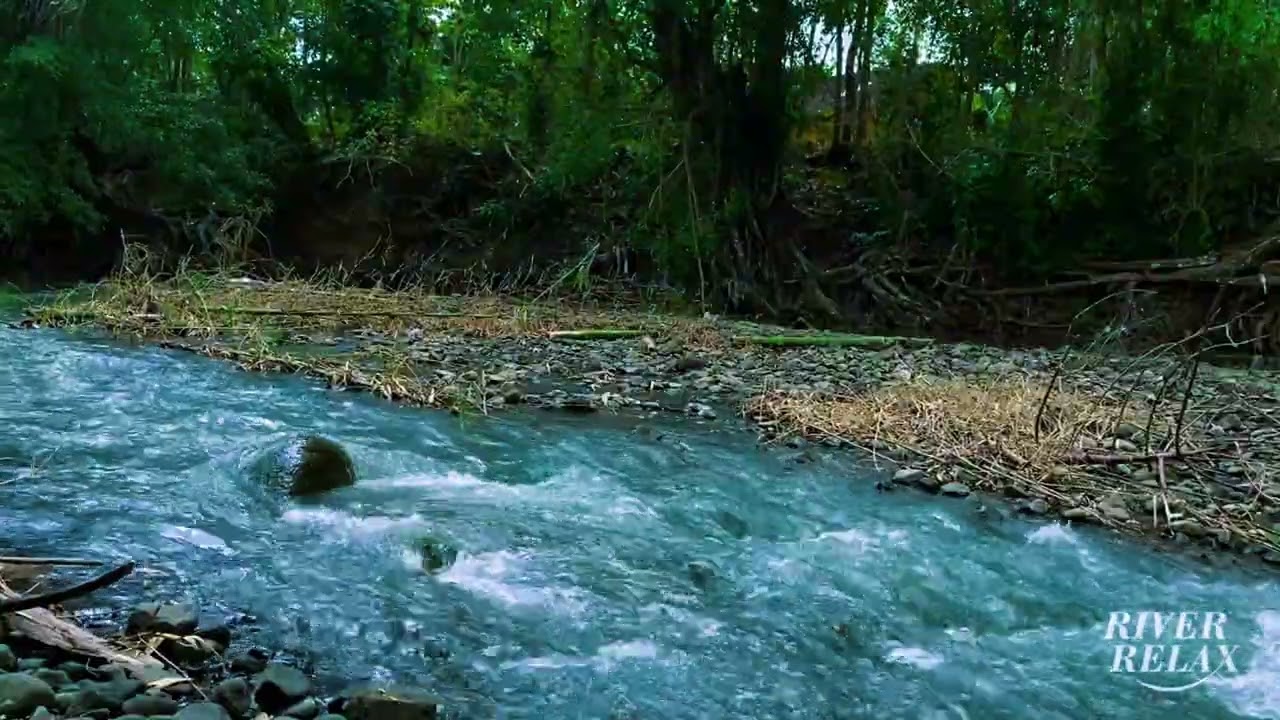 River Forest Ambience – Nature Water Flow for Study, spa, meditation, Focus, and Calm Energy