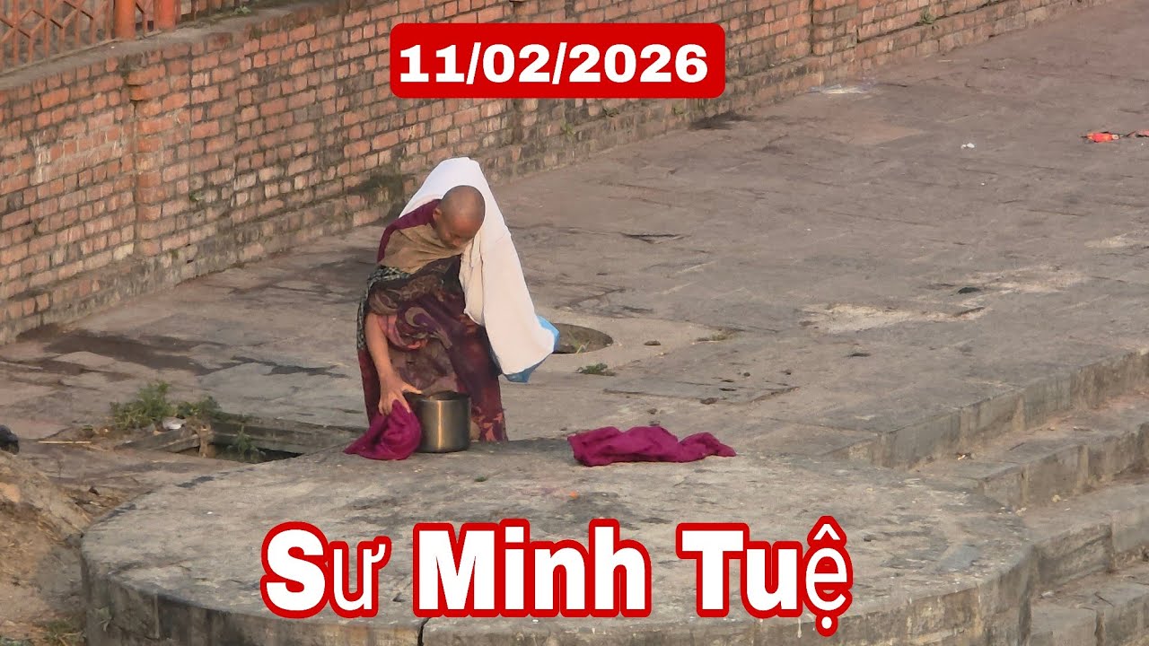 Hình ảnh sư Minh Tuệ nhìn cảnh này thương thầy quá 11/2/26