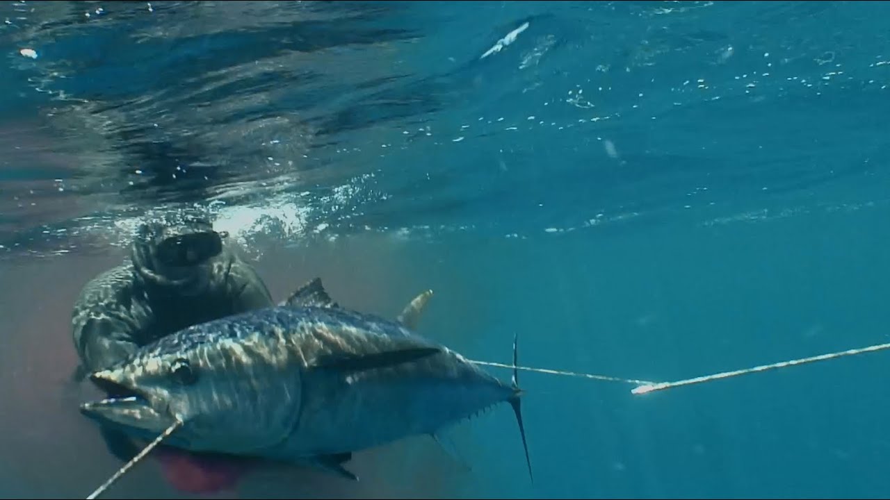 Spearfishing Documentary APO TA MATIA TOY KINIGOU No4. HUNTING IN BLUE - PART 3 (English Subtitles)