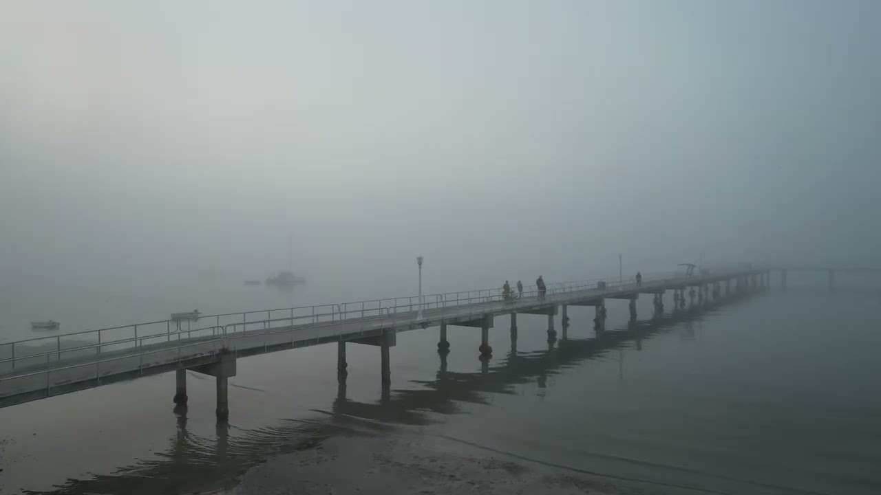 Gulfport Florida in the Fog - Feb 12th, 2026