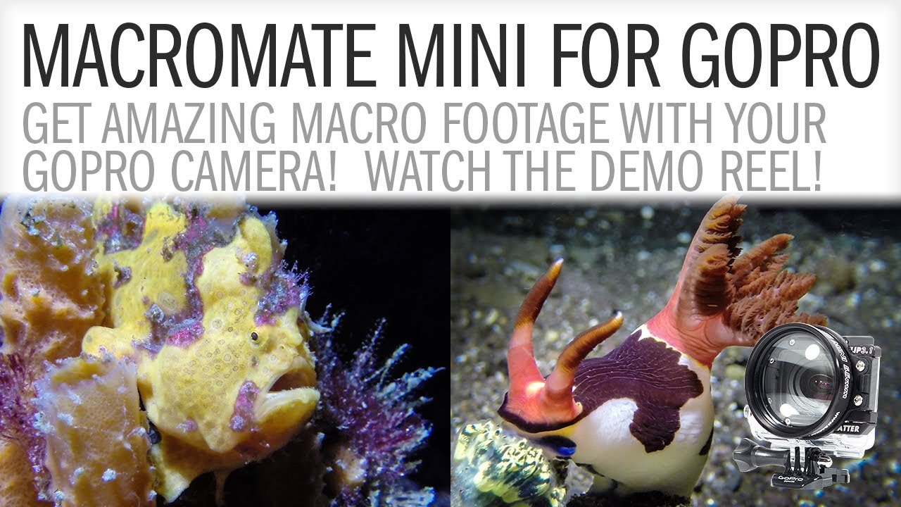 MACROMATE MINI - Get Stunning Macro Video Underwater with your GoPro Hero4, Hero3+ & Hero3