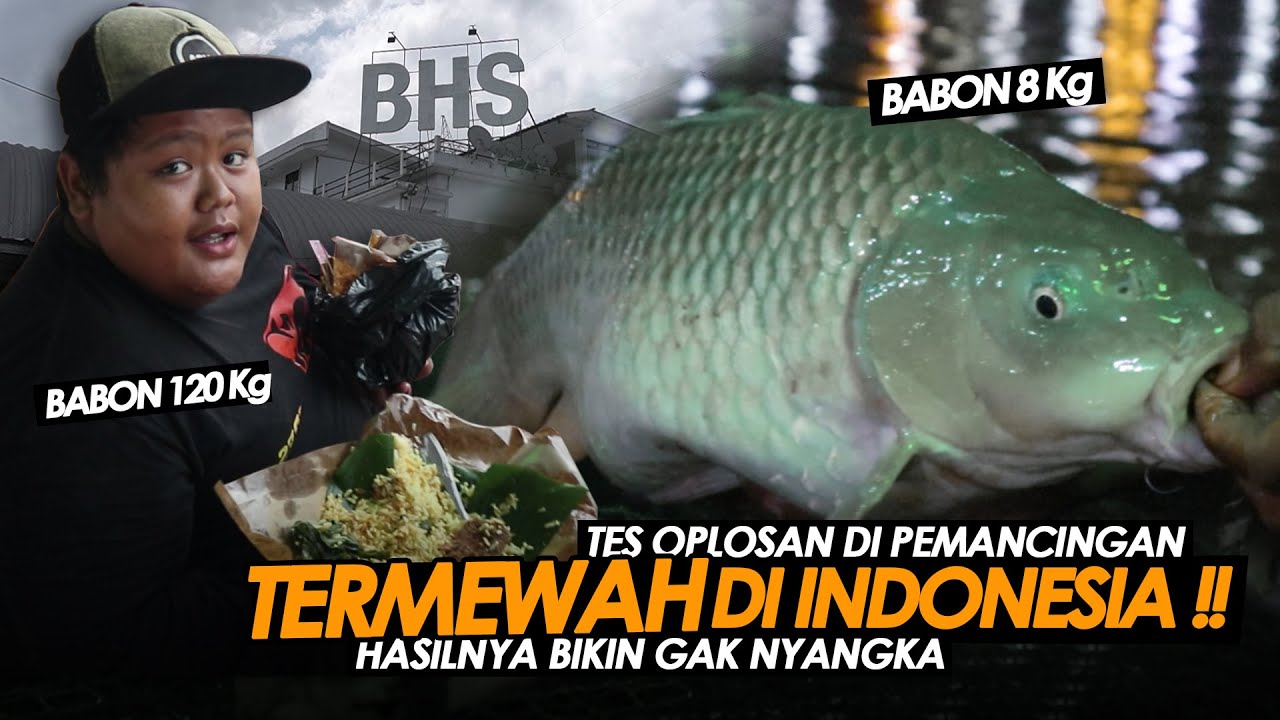 PUNYA KEDI DOYAN BANGET MADANG !! ADUN DAN GEMBUL SIKAT BABON DI SUMEDANG || Am#342