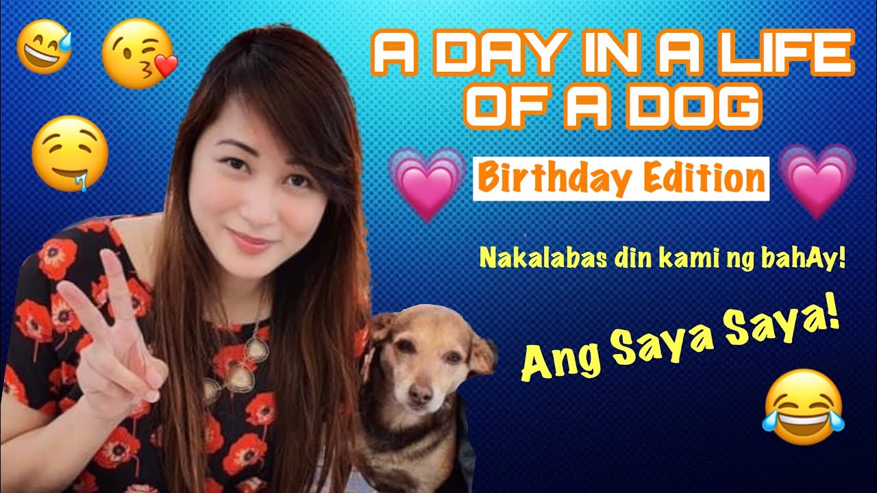 Vlog 24 | A day in a life of a dog | dog birthday party | family bonding
