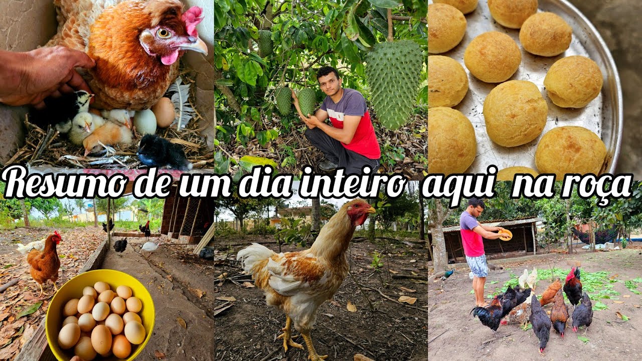 um dia inteiro mostrando meu trabalho na ro&ccedil;a - ROTINA NO S&Iacute;TIO