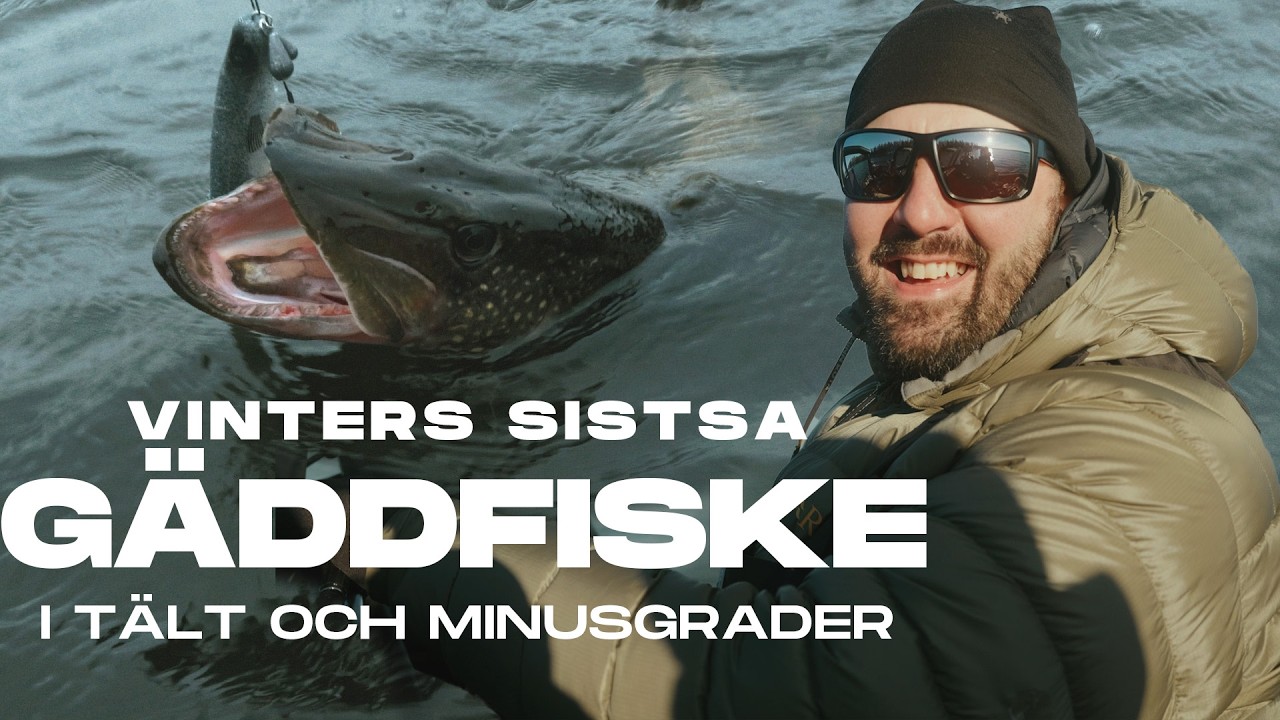 Vinterfiske efter g&auml;dda - tre kalla dagar i t&auml;lt!