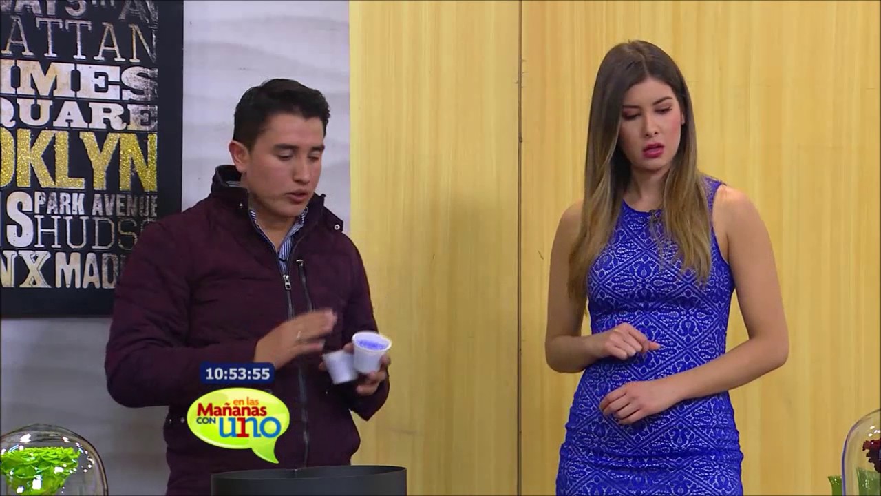 Conoce aquí cómo preservar las rosas