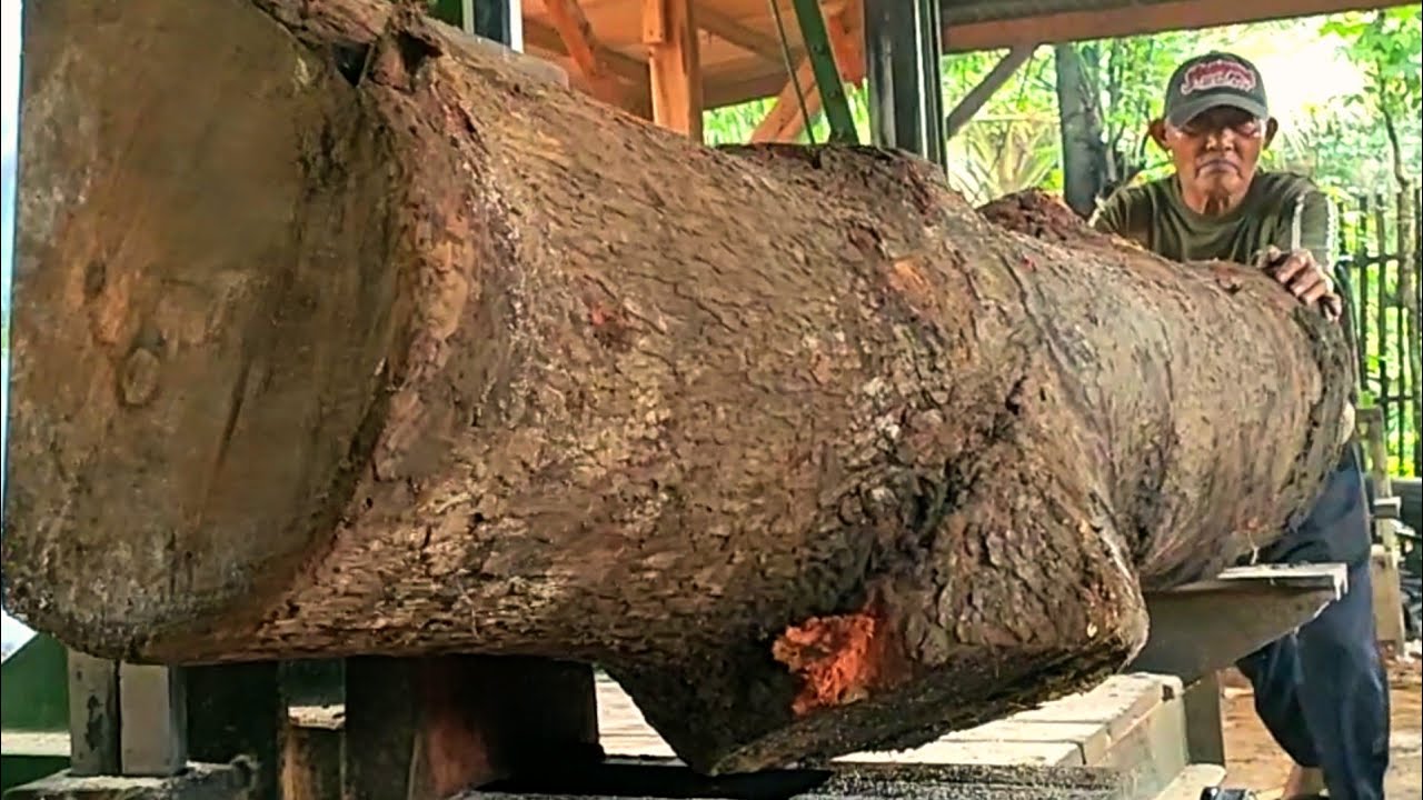 RAU wood processing process for fishing boat sheet material