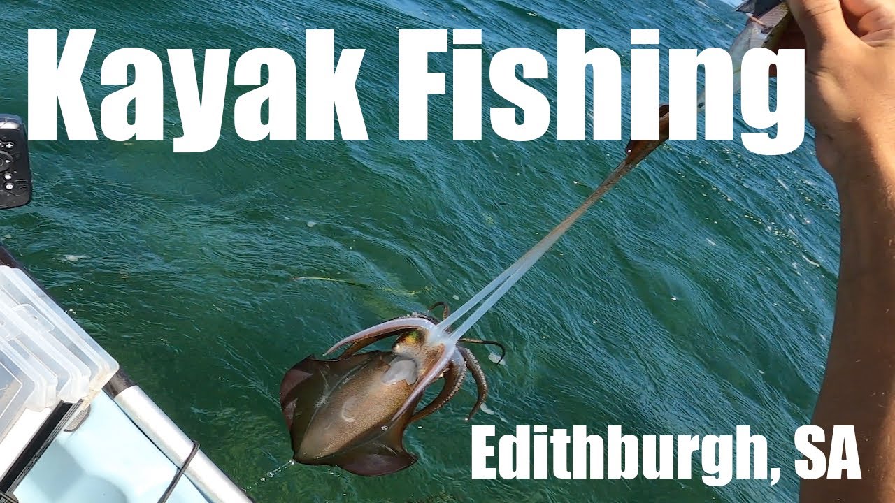 Kayak Fishing Edithburgh South Australia -EP 18-