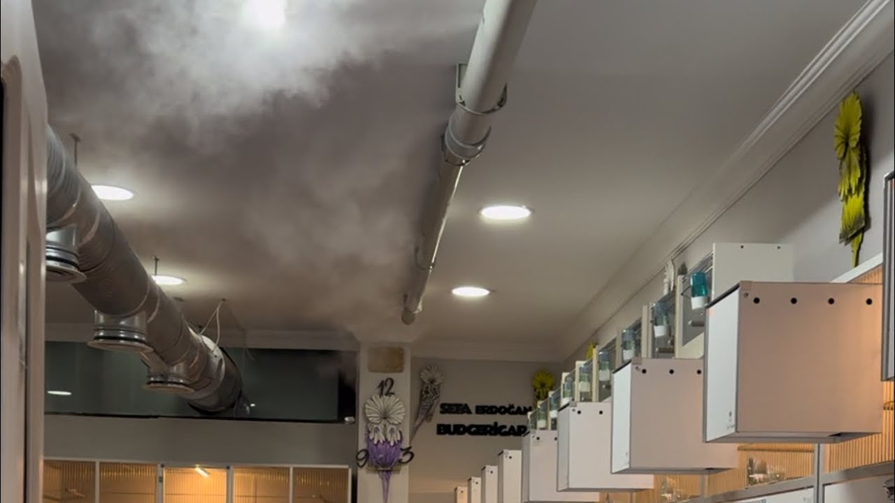 Yumurta Bozulmalarına ve Çıkım Sorunlarına Karşı Buhar Makinesi Kurulumu Yaptık