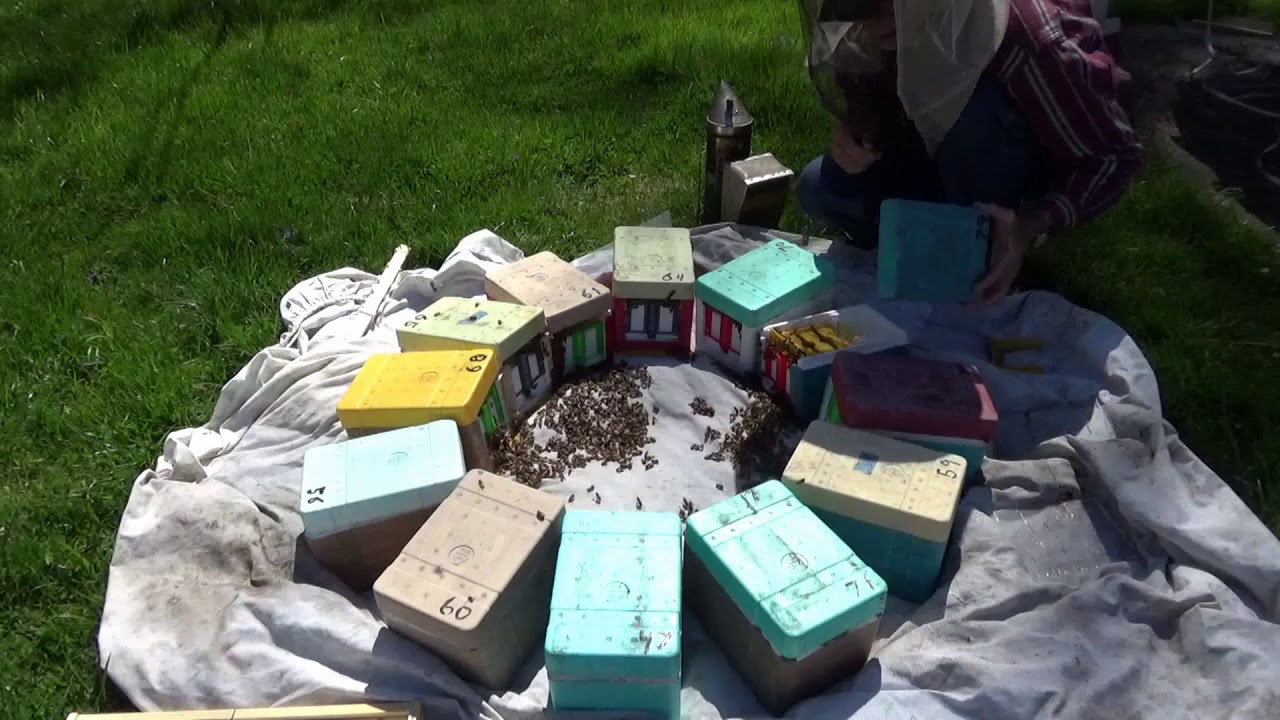 Loading Mini Nucs